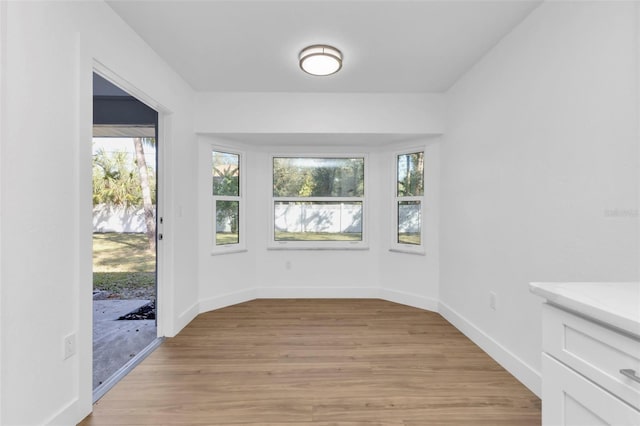 interior space with a wealth of natural light and light hardwood / wood-style flooring