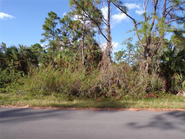 18174 Quincy Ave, Port Charlotte, FL 33948 - photo 1