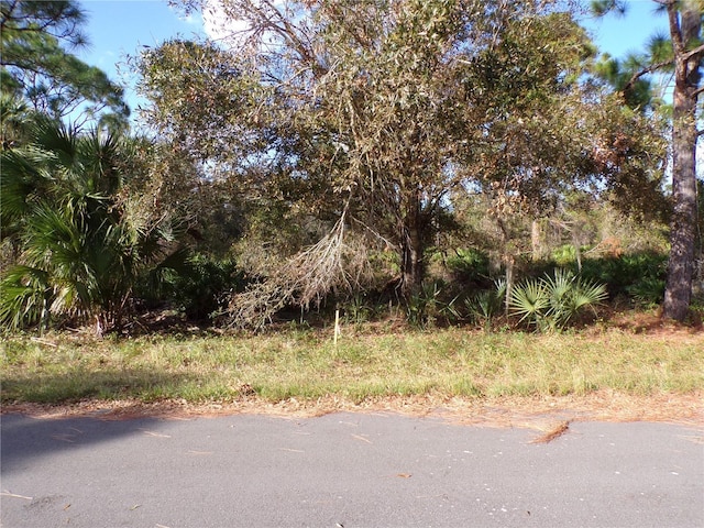 18174 Quincy Ave, Port Charlotte, FL 33948 - photo 4