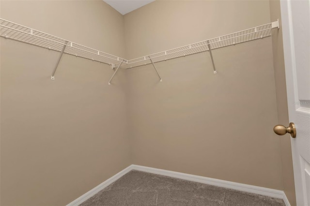 spacious closet with carpet floors