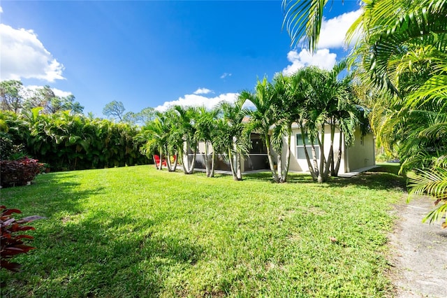 view of yard with a sunroom