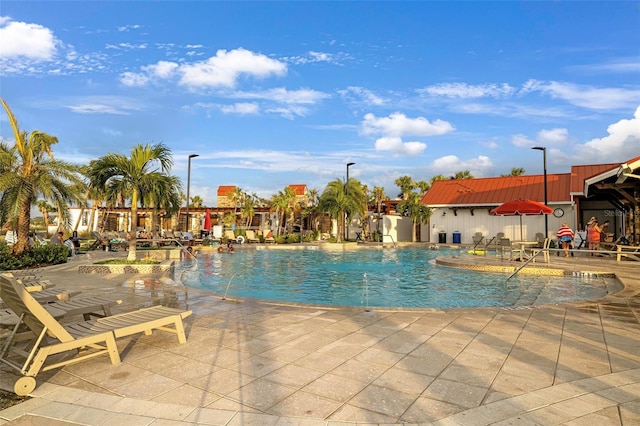 view of swimming pool with a patio area