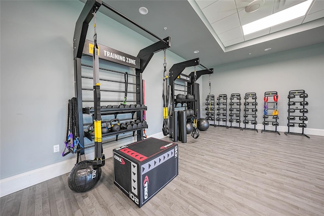 gym featuring wood-type flooring