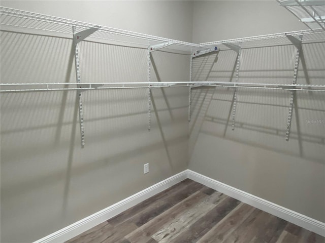 spacious closet with hardwood / wood-style floors