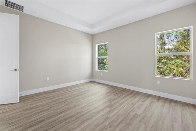 empty room featuring light hardwood / wood-style flooring and a healthy amount of sunlight