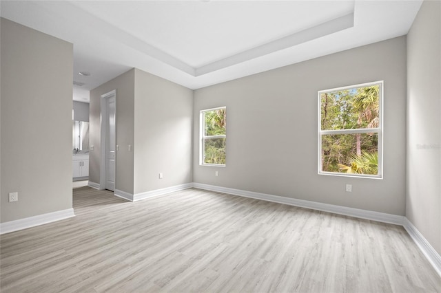 3883 Dominic St, North Port, FL 34288 - spare room featuring baseboards, a tray ceiling, light wood-style flooring, and a wealth of natural light