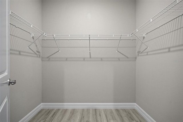 3883 Dominic St, North Port, FL 34288 - walk in closet with wood finished floors