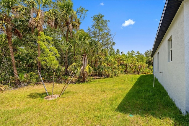 3883 Dominic St, North Port, FL 34288 - view of yard