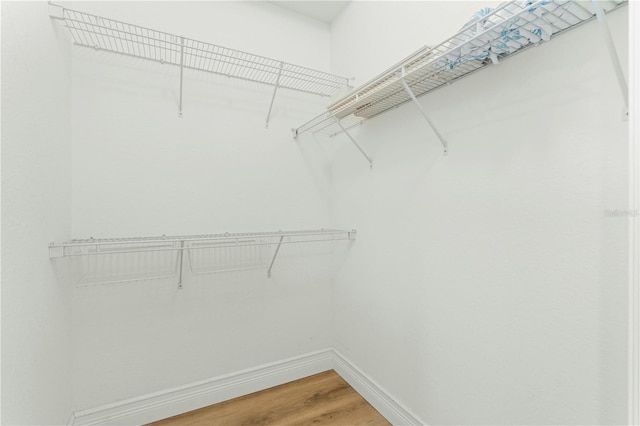 spacious closet with wood-type flooring