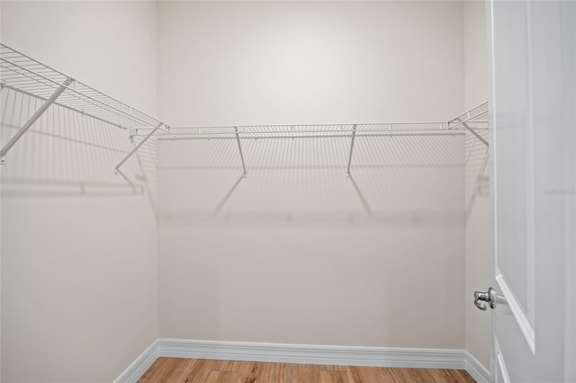 3779 Clearfield St, North Port, FL 34286 - walk in closet featuring light wood finished floors