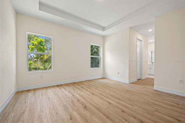 1415 Nackman Rd, North Port, FL 34288 - spare room featuring light wood-style flooring, plenty of natural light, baseboards, recessed lighting, and a tray ceiling