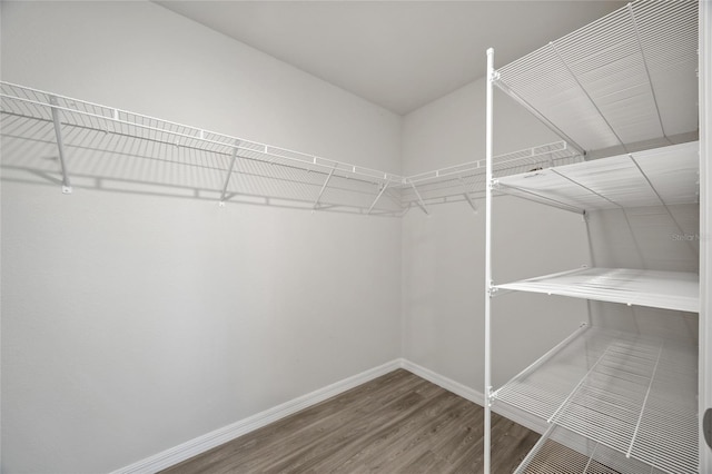 walk in closet featuring hardwood / wood-style floors