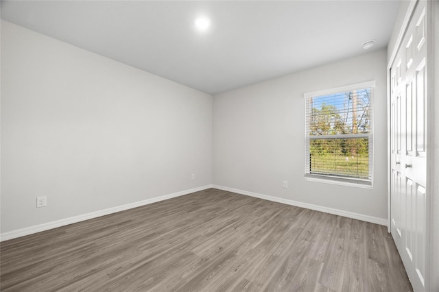 spare room featuring wood-type flooring