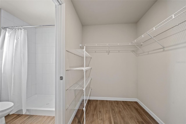 walk in closet with wood-type flooring