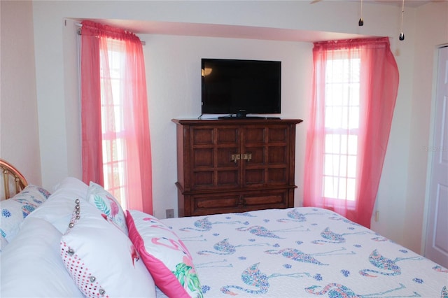 bedroom with multiple windows