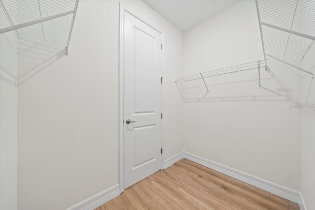 walk in closet featuring wood finished floors