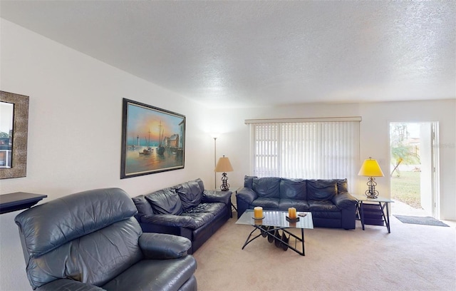 living room featuring carpet and a textured ceiling