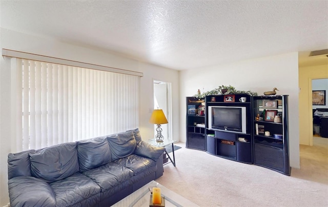 carpeted living room with a textured ceiling