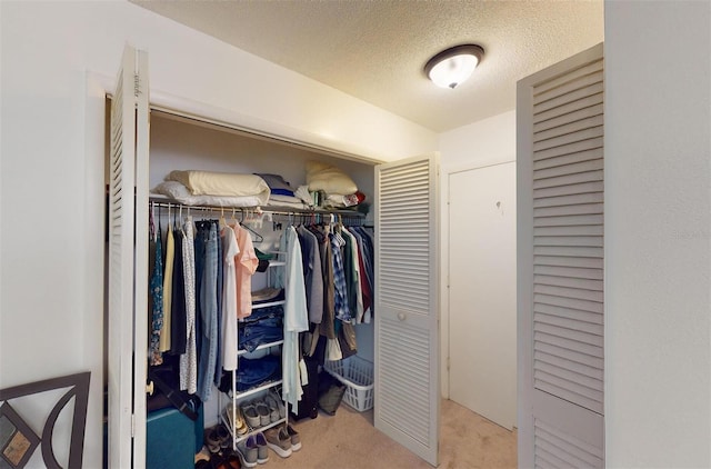 view of closet