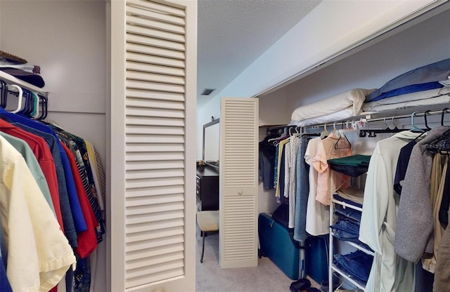 spacious closet featuring carpet flooring