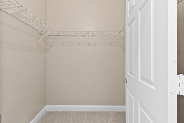 walk in closet featuring light carpet