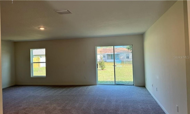 empty room featuring carpet