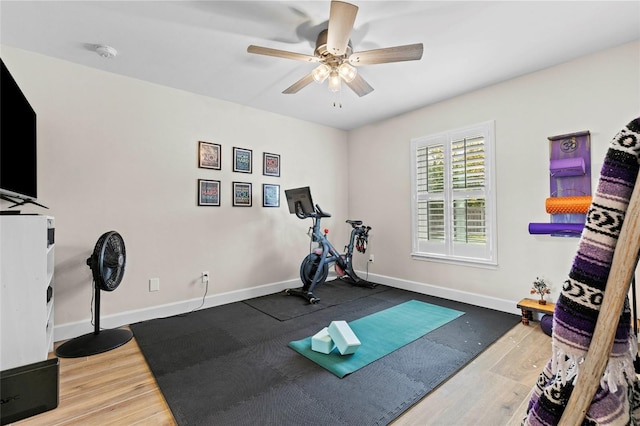 workout room with wood-type flooring and ceiling fan