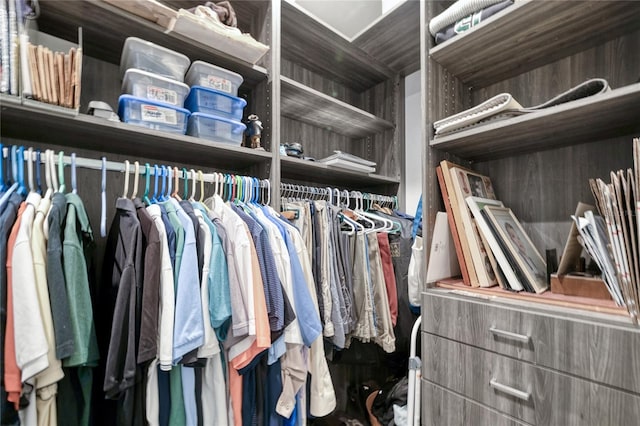 view of spacious closet