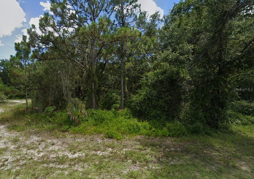 16245 Limerick Ave, Port Charlotte, FL 33954 - photo 3