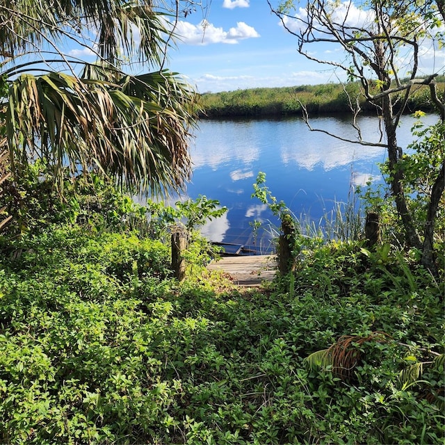 property view of water