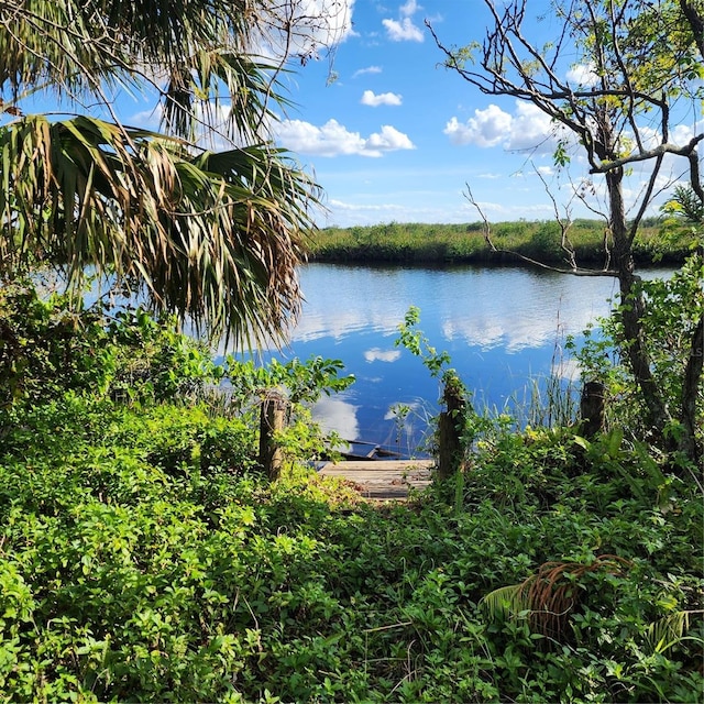 property view of water