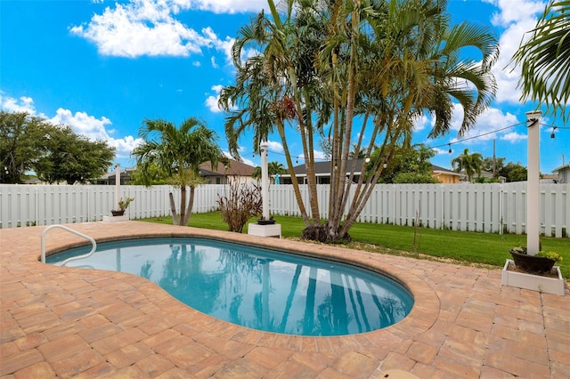 view of swimming pool with a lawn and a patio