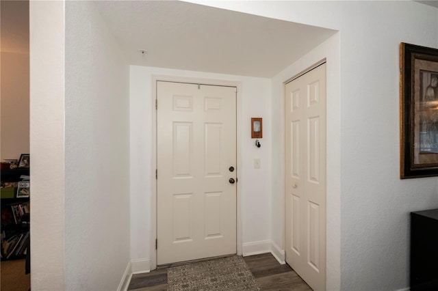 foyer with dark wood-type flooring