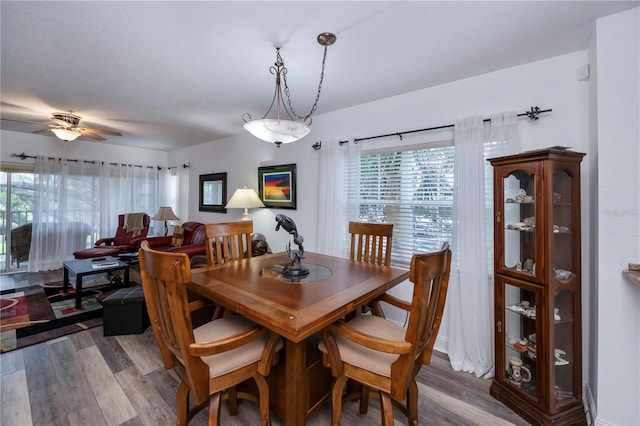 dining room featuring hardwood / wood-style flooring and ceiling fan