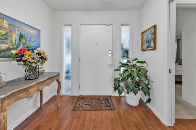 foyer entrance featuring hardwood / wood-style flooring and a healthy amount of sunlight