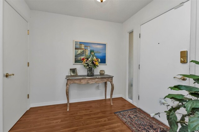 entryway with hardwood / wood-style floors