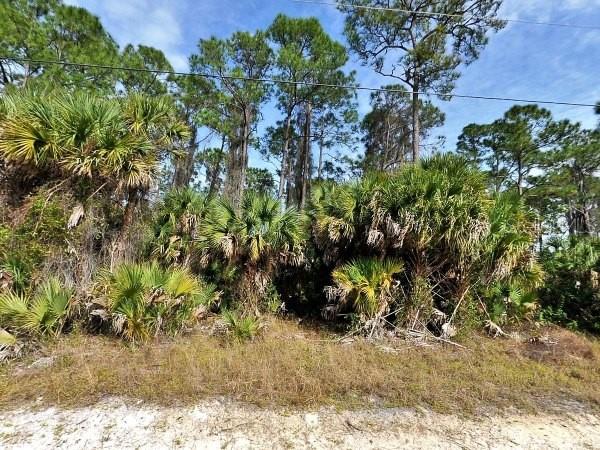 Listing photo 2 for LOT12 Sadnet Ln, North Port FL 34286