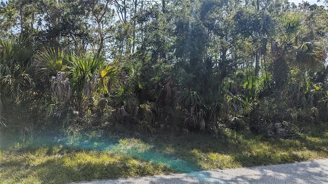 Listing photo 2 for Abdella Ln, North Port FL 34291