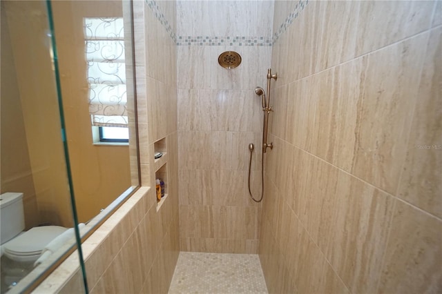 3507 Terin Ct, Punta Gorda, FL 33950 - full bathroom with tiled shower and toilet