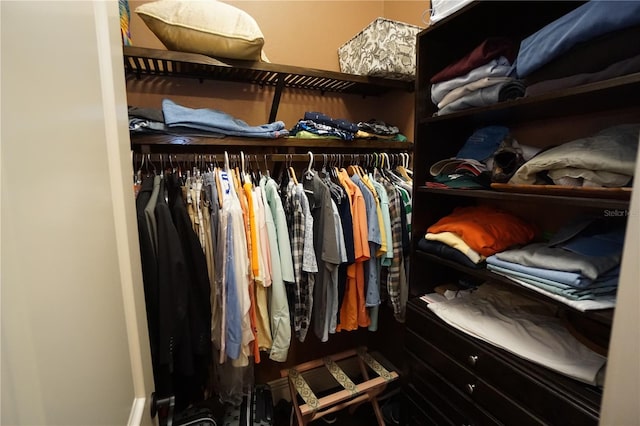 view of spacious closet