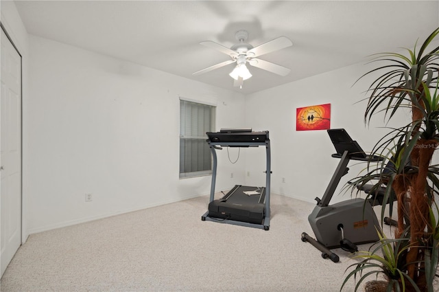 exercise area with ceiling fan and carpet floors