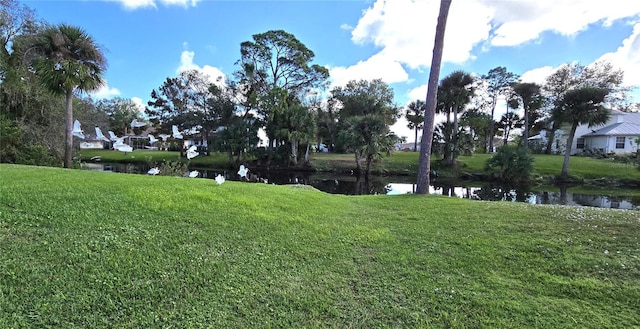 view of yard featuring a water view