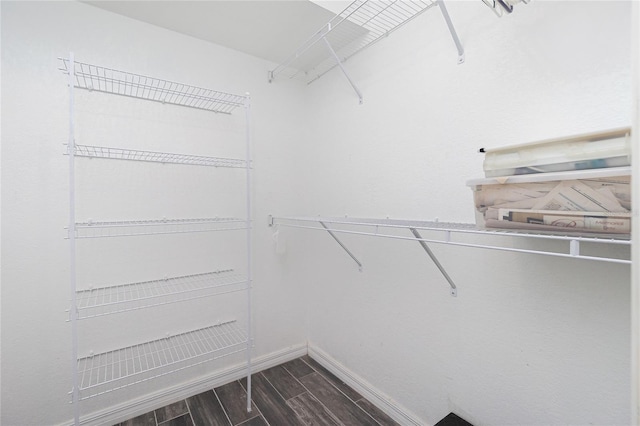 spacious closet featuring dark hardwood / wood-style flooring