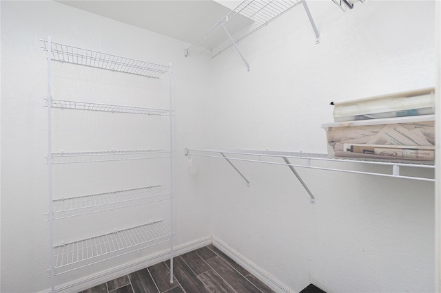 3545 Syracuse St, Port Charlotte, FL 33952 - walk in closet with dark wood-type flooring