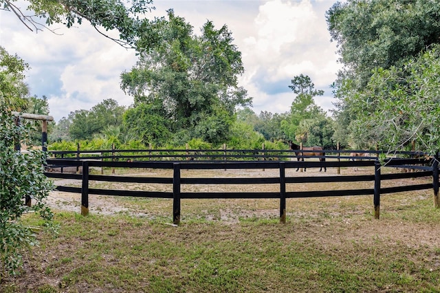 view of yard featuring a rural view