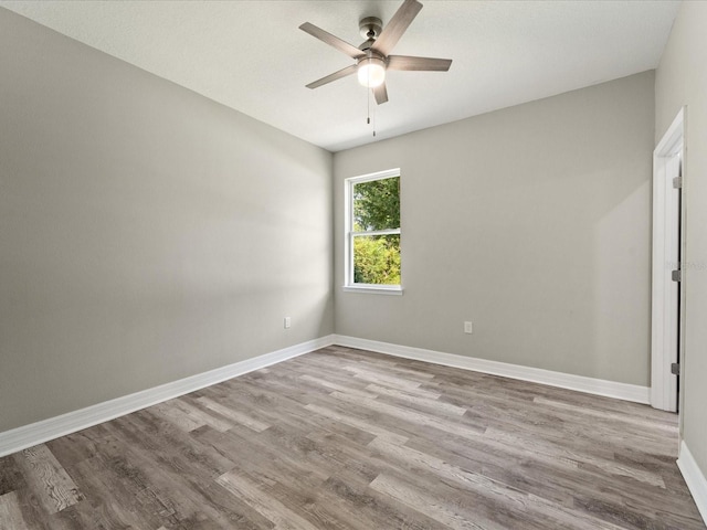 spare room featuring light wood-type flooring and ceiling fan