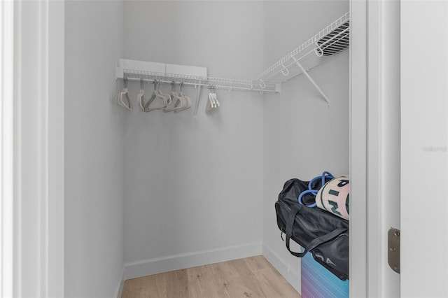 spacious closet featuring hardwood / wood-style flooring