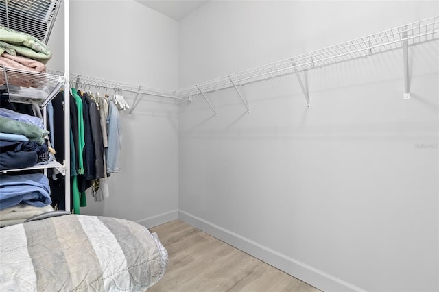 walk in closet featuring wood-type flooring