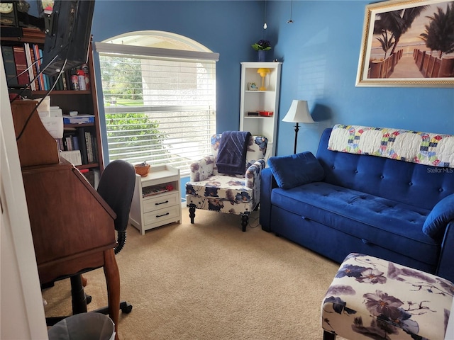 view of carpeted living room