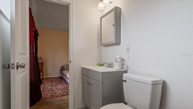 bathroom featuring vanity, toilet, and wood-type flooring